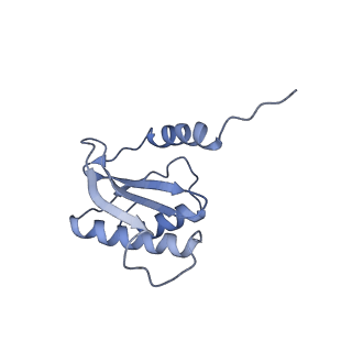 10535_6tnn_h_v1-2
Mini-RNase III (Mini-III) bound to 50S ribosome with precursor 23S rRNA