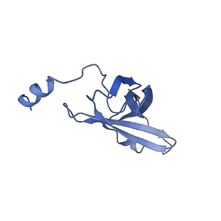 10535_6tnn_i_v1-2
Mini-RNase III (Mini-III) bound to 50S ribosome with precursor 23S rRNA
