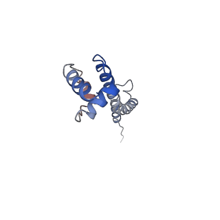 10535_6tnn_j_v1-2
Mini-RNase III (Mini-III) bound to 50S ribosome with precursor 23S rRNA