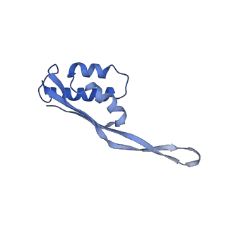 10535_6tnn_l_v1-2
Mini-RNase III (Mini-III) bound to 50S ribosome with precursor 23S rRNA