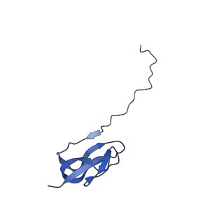 10535_6tnn_o_v1-2
Mini-RNase III (Mini-III) bound to 50S ribosome with precursor 23S rRNA