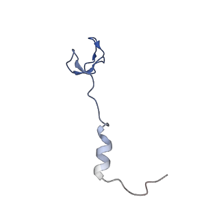 10535_6tnn_p_v1-2
Mini-RNase III (Mini-III) bound to 50S ribosome with precursor 23S rRNA