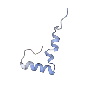 10535_6tnn_r_v1-2
Mini-RNase III (Mini-III) bound to 50S ribosome with precursor 23S rRNA