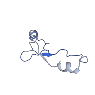 10535_6tnn_s_v1-2
Mini-RNase III (Mini-III) bound to 50S ribosome with precursor 23S rRNA