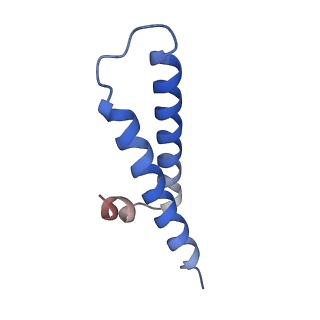 10535_6tnn_v_v1-2
Mini-RNase III (Mini-III) bound to 50S ribosome with precursor 23S rRNA