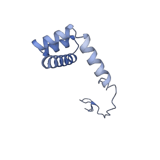 10537_6tnu_AC_v1-1
Yeast 80S ribosome in complex with eIF5A and decoding A-site and P-site tRNAs.
