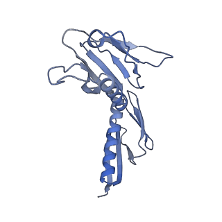 10537_6tnu_AD_v1-1
Yeast 80S ribosome in complex with eIF5A and decoding A-site and P-site tRNAs.