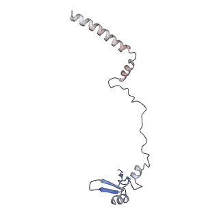 10537_6tnu_AE_v1-1
Yeast 80S ribosome in complex with eIF5A and decoding A-site and P-site tRNAs.