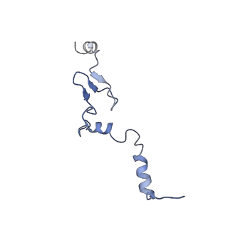 10537_6tnu_AF_v1-1
Yeast 80S ribosome in complex with eIF5A and decoding A-site and P-site tRNAs.