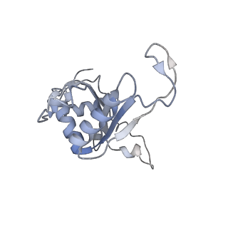 10537_6tnu_AG_v1-1
Yeast 80S ribosome in complex with eIF5A and decoding A-site and P-site tRNAs.