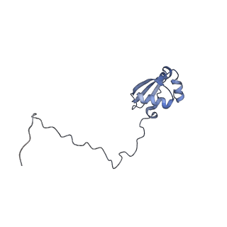 10537_6tnu_AH_v1-1
Yeast 80S ribosome in complex with eIF5A and decoding A-site and P-site tRNAs.