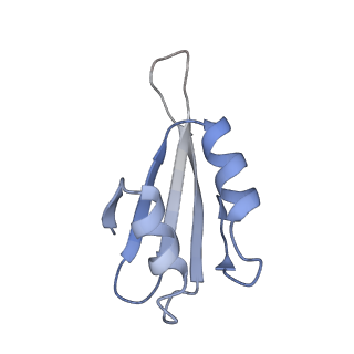 10537_6tnu_AI_v1-1
Yeast 80S ribosome in complex with eIF5A and decoding A-site and P-site tRNAs.