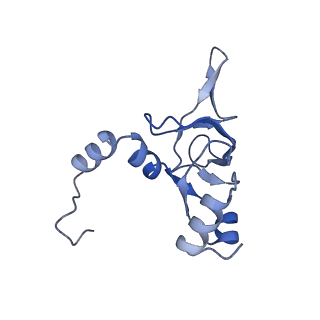 10537_6tnu_AK_v1-1
Yeast 80S ribosome in complex with eIF5A and decoding A-site and P-site tRNAs.