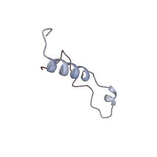 10537_6tnu_AL_v1-1
Yeast 80S ribosome in complex with eIF5A and decoding A-site and P-site tRNAs.