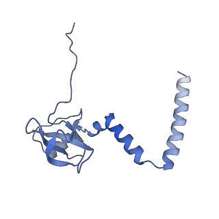 10537_6tnu_AM_v1-1
Yeast 80S ribosome in complex with eIF5A and decoding A-site and P-site tRNAs.