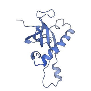10537_6tnu_AN_v1-1
Yeast 80S ribosome in complex with eIF5A and decoding A-site and P-site tRNAs.