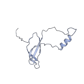 10537_6tnu_AP_v1-1
Yeast 80S ribosome in complex with eIF5A and decoding A-site and P-site tRNAs.