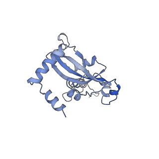 10537_6tnu_AQ_v1-1
Yeast 80S ribosome in complex with eIF5A and decoding A-site and P-site tRNAs.