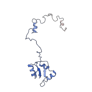 10537_6tnu_AR_v1-1
Yeast 80S ribosome in complex with eIF5A and decoding A-site and P-site tRNAs.