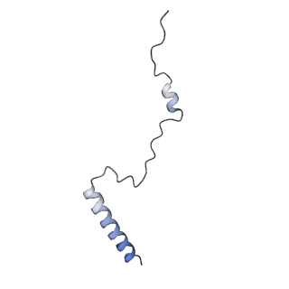 10537_6tnu_AV_v1-1
Yeast 80S ribosome in complex with eIF5A and decoding A-site and P-site tRNAs.