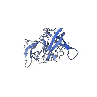 10537_6tnu_AW_v1-1
Yeast 80S ribosome in complex with eIF5A and decoding A-site and P-site tRNAs.