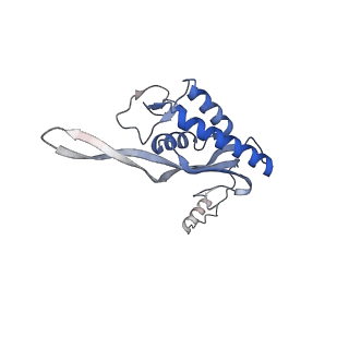 10537_6tnu_AX_v1-1
Yeast 80S ribosome in complex with eIF5A and decoding A-site and P-site tRNAs.