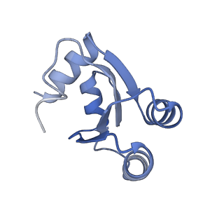 10537_6tnu_AY_v1-1
Yeast 80S ribosome in complex with eIF5A and decoding A-site and P-site tRNAs.