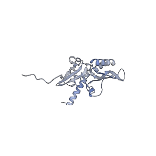 10537_6tnu_A_v1-1
Yeast 80S ribosome in complex with eIF5A and decoding A-site and P-site tRNAs.