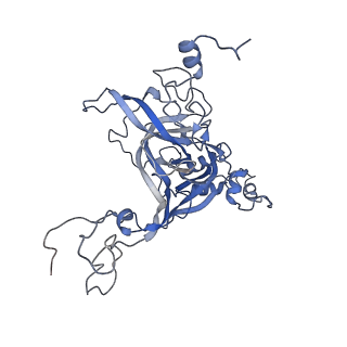 10537_6tnu_BA_v1-1
Yeast 80S ribosome in complex with eIF5A and decoding A-site and P-site tRNAs.