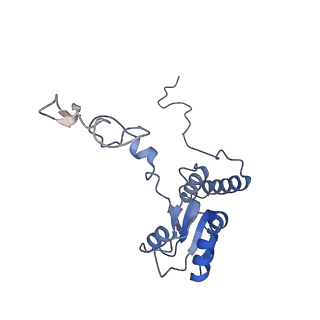 10537_6tnu_BB_v1-1
Yeast 80S ribosome in complex with eIF5A and decoding A-site and P-site tRNAs.