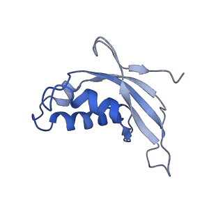 10537_6tnu_BC_v1-1
Yeast 80S ribosome in complex with eIF5A and decoding A-site and P-site tRNAs.