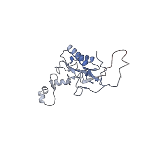 10537_6tnu_BD_v1-1
Yeast 80S ribosome in complex with eIF5A and decoding A-site and P-site tRNAs.