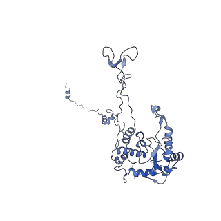 10537_6tnu_BE_v1-1
Yeast 80S ribosome in complex with eIF5A and decoding A-site and P-site tRNAs.