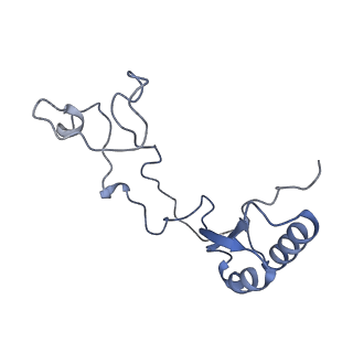 10537_6tnu_BG_v1-1
Yeast 80S ribosome in complex with eIF5A and decoding A-site and P-site tRNAs.