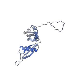 10537_6tnu_BH_v1-1
Yeast 80S ribosome in complex with eIF5A and decoding A-site and P-site tRNAs.