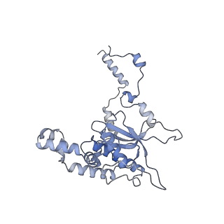 10537_6tnu_BI_v1-1
Yeast 80S ribosome in complex with eIF5A and decoding A-site and P-site tRNAs.