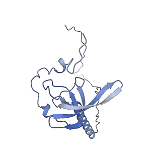 10537_6tnu_BJ_v1-1
Yeast 80S ribosome in complex with eIF5A and decoding A-site and P-site tRNAs.