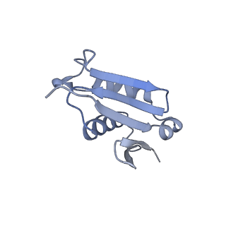 10537_6tnu_BL_v1-1
Yeast 80S ribosome in complex with eIF5A and decoding A-site and P-site tRNAs.