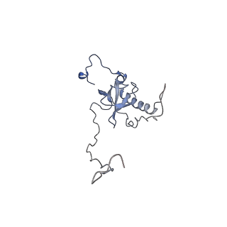 10537_6tnu_BM_v1-1
Yeast 80S ribosome in complex with eIF5A and decoding A-site and P-site tRNAs.