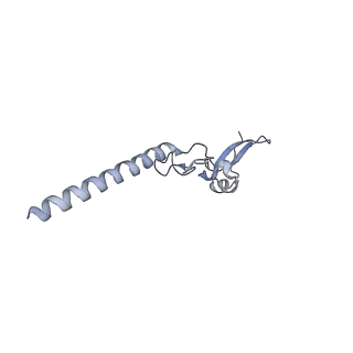 10537_6tnu_BN_v1-1
Yeast 80S ribosome in complex with eIF5A and decoding A-site and P-site tRNAs.