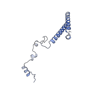 10537_6tnu_BP_v1-1
Yeast 80S ribosome in complex with eIF5A and decoding A-site and P-site tRNAs.