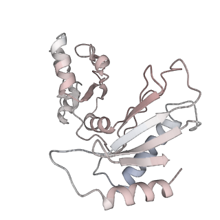 10537_6tnu_BT_v1-1
Yeast 80S ribosome in complex with eIF5A and decoding A-site and P-site tRNAs.