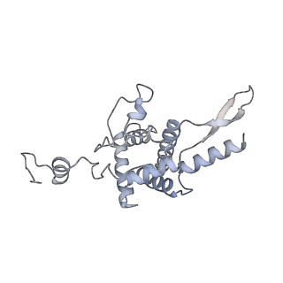 10537_6tnu_B_v1-1
Yeast 80S ribosome in complex with eIF5A and decoding A-site and P-site tRNAs.