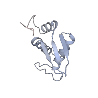 10537_6tnu_C_v1-1
Yeast 80S ribosome in complex with eIF5A and decoding A-site and P-site tRNAs.