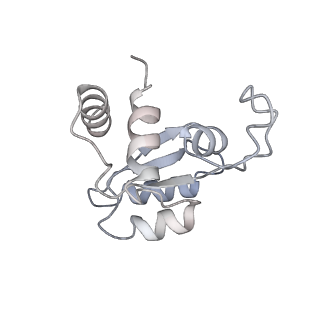 10537_6tnu_D_v1-1
Yeast 80S ribosome in complex with eIF5A and decoding A-site and P-site tRNAs.