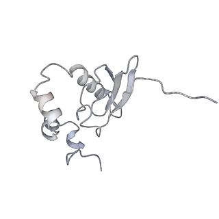 10537_6tnu_E_v1-1
Yeast 80S ribosome in complex with eIF5A and decoding A-site and P-site tRNAs.