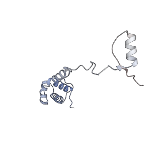 10537_6tnu_G_v1-1
Yeast 80S ribosome in complex with eIF5A and decoding A-site and P-site tRNAs.