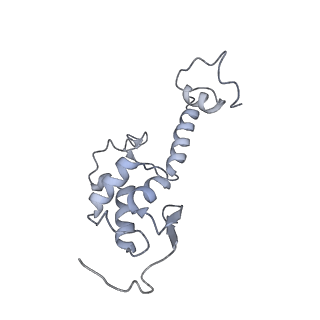 10537_6tnu_H_v1-1
Yeast 80S ribosome in complex with eIF5A and decoding A-site and P-site tRNAs.