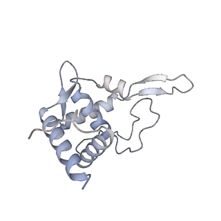 10537_6tnu_I_v1-1
Yeast 80S ribosome in complex with eIF5A and decoding A-site and P-site tRNAs.