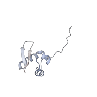 10537_6tnu_K_v1-1
Yeast 80S ribosome in complex with eIF5A and decoding A-site and P-site tRNAs.